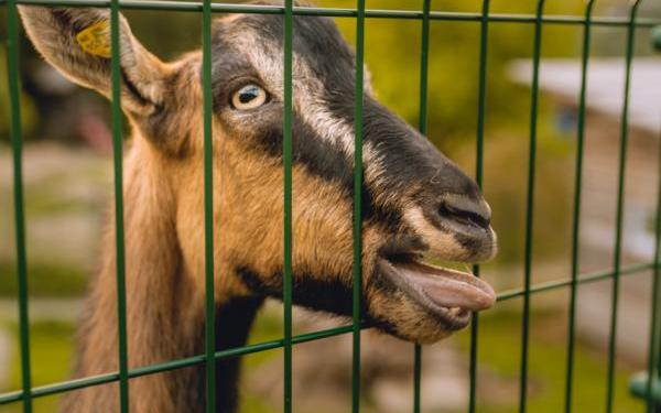 Hotel_Kirchheimerhof-49