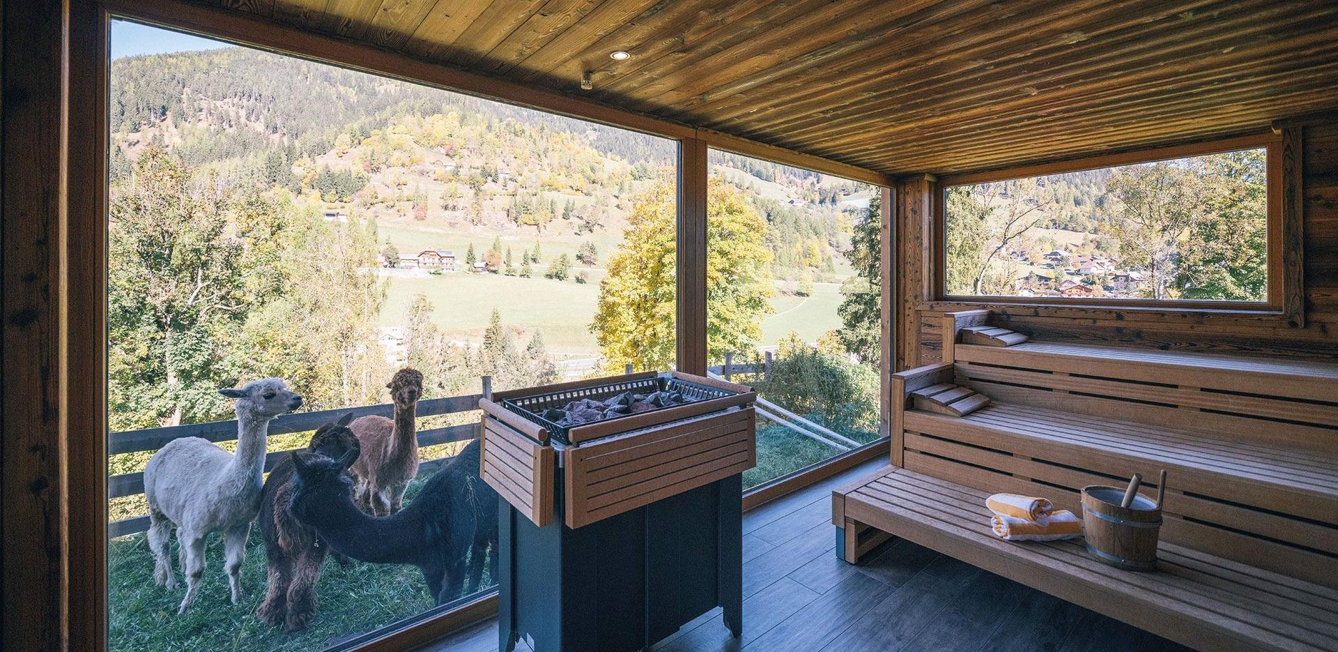 Sauna ,,trifft'' Tage mit Mehrwert