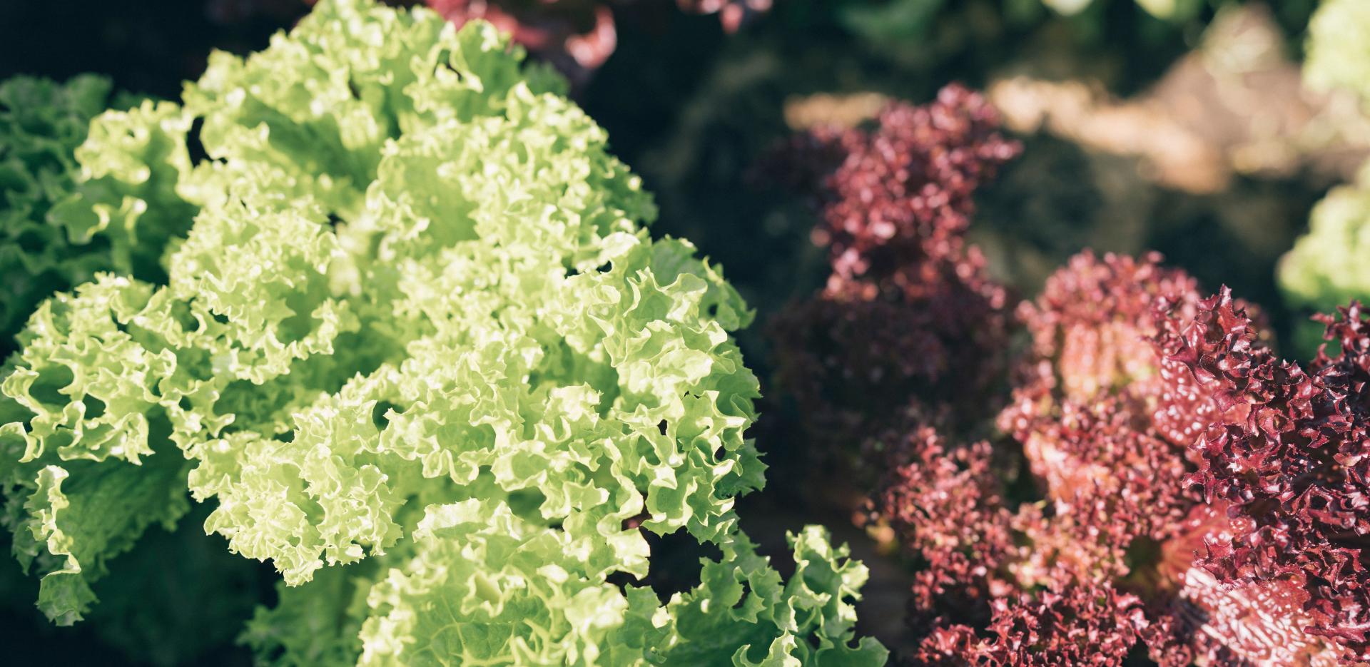 Der Kirchheimerhof Der Kirchheimerhof