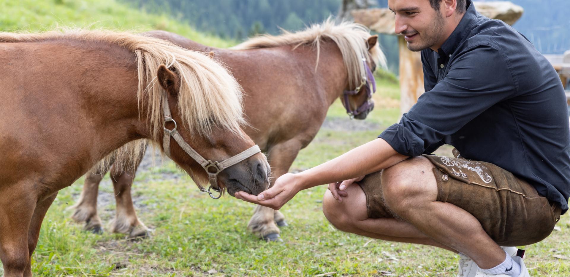 Ponys und Moritz Ponys und Moritz