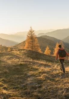 nock_natur_Wandern_Bad Kleinkirchheim_Herbst © Franz Gerdl_MBN Tourismus(11)
