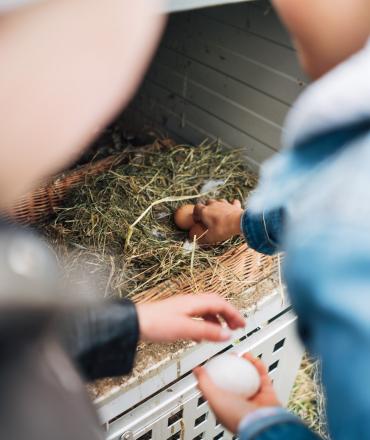 Der Kirchheimerhof Der Kirchheimerhof