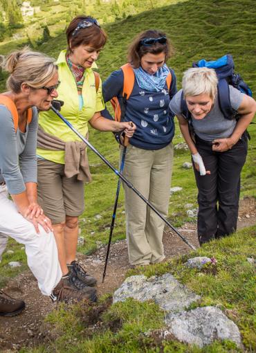 Der Kirchheimerhof Der Kirchheimerhof