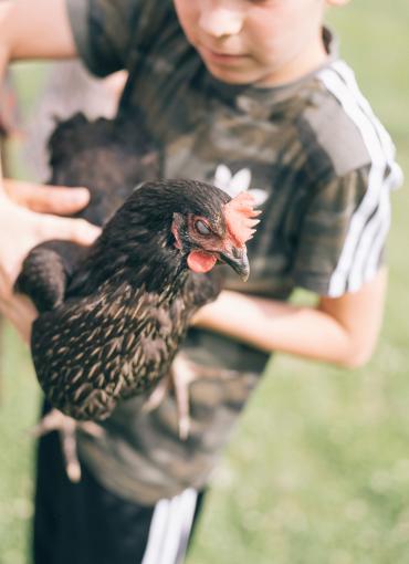 Der Kirchheimerhof Der Kirchheimerhof