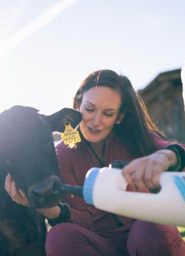 Der Kirchheimerhof Der Kirchheimerhof