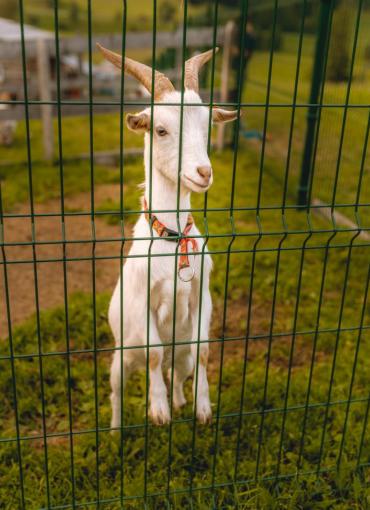 K1024_Hotel_Kirchheimerhof-50