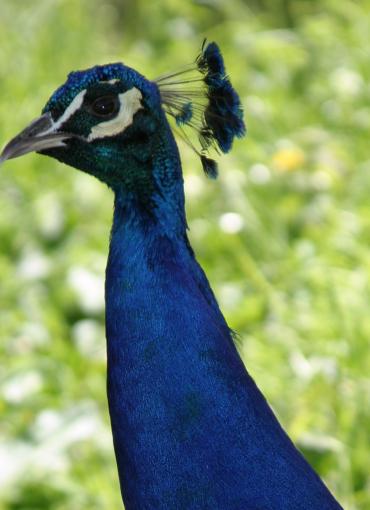 Der Kirchheimerhof Der Kirchheimerhof