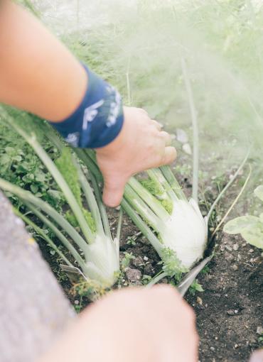 Der Kirchheimerhof Der Kirchheimerhof