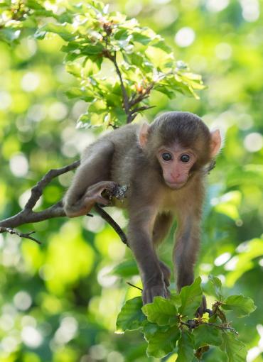 Der Kirchheimerhof Der Kirchheimerhof