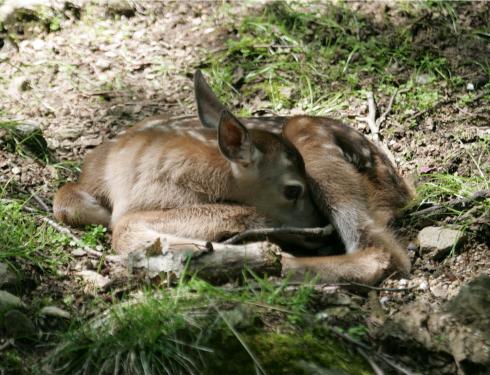Der Kirchheimerhof Der Kirchheimerhof