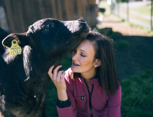 Der Kirchheimerhof Der Kirchheimerhof