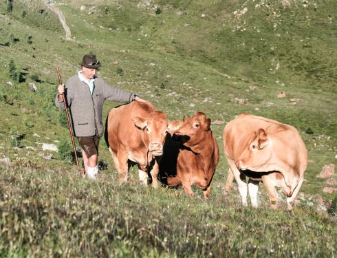 Der Kirchheimerhof Der Kirchheimerhof