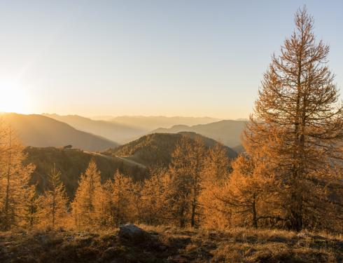 Wandern_Bad Kleinkirchheim_Herbst &copy; Franz Gerdl_MBN Tourismus (1)