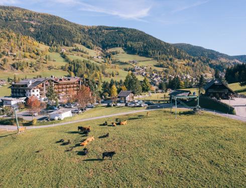 Der Kirchheimerhof Der Kirchheimerhof