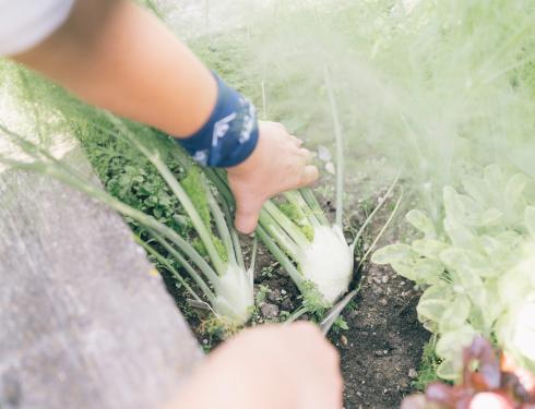 Der Kirchheimerhof Der Kirchheimerhof