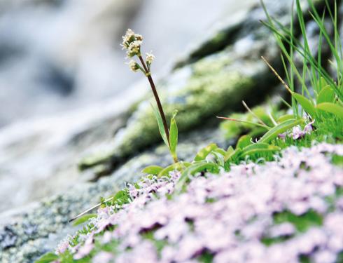 Der Kirchheimerhof Der Kirchheimerhof