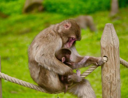 Der Kirchheimerhof Der Kirchheimerhof