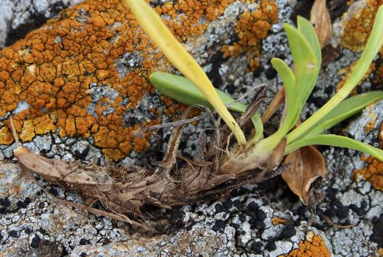 Der Kirchheimerhof Der Kirchheimerhof