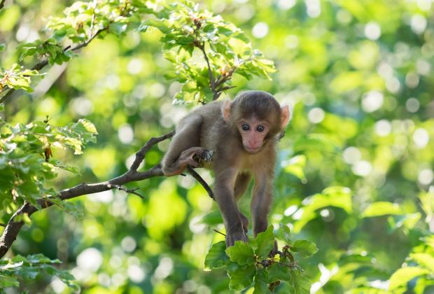 Der Kirchheimerhof Der Kirchheimerhof