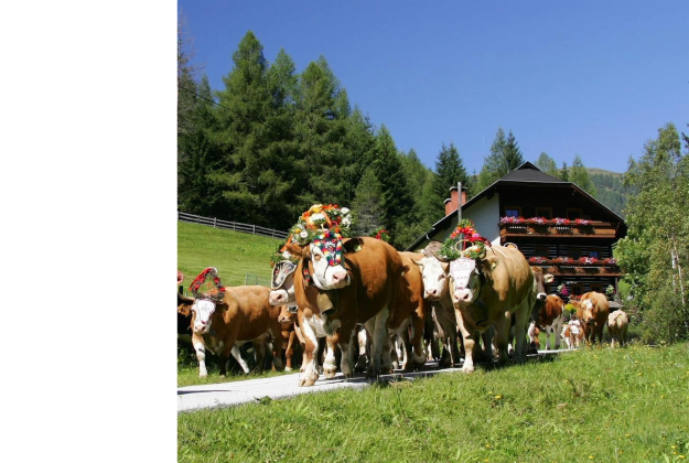 Almabtrieb in Bad Kleinkirchheim,© Caroline Krenn Almabtrieb in Bad Kleinkirchheim,© Caroline Krenn
