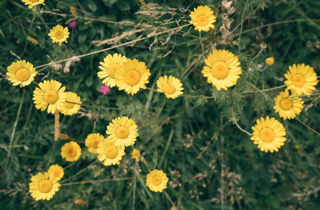 Der Kirchheimerhof Der Kirchheimerhof