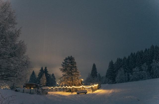 116-8771-LR_kirchheimerhof_winter22©gert_perauer