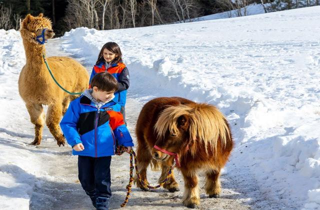 Flieg in den Schnee Flieg in den Schnee