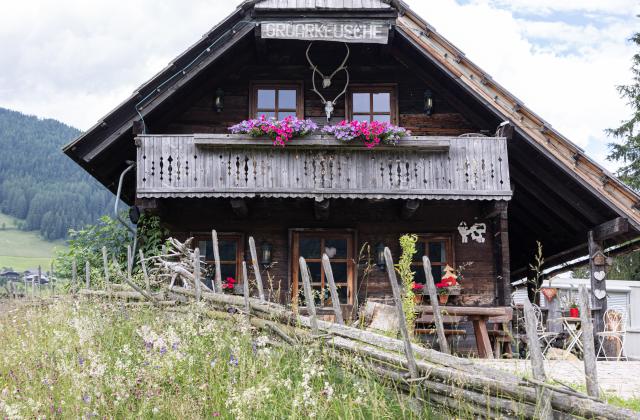 Groar Sommer Groar Sommer