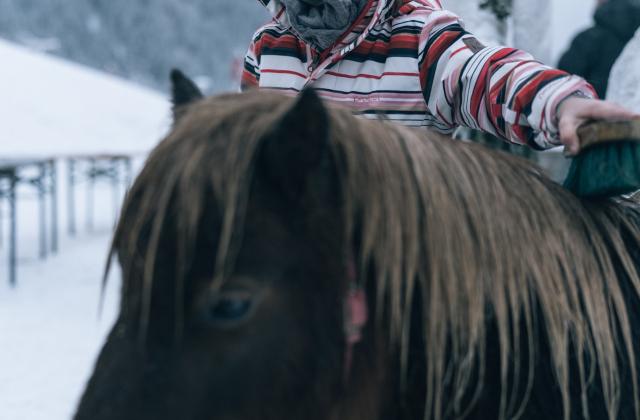 Kirchheimerhof Pony im Schnee mit lächelndem Kind