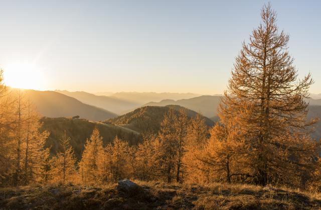 nock_natur_Wandern_Bad Kleinkirchheim_Herbst © Franz Gerdl_MBN Tourismus(14)