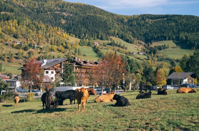 478-5547-HR_kirchheimerhof©gert_perauer