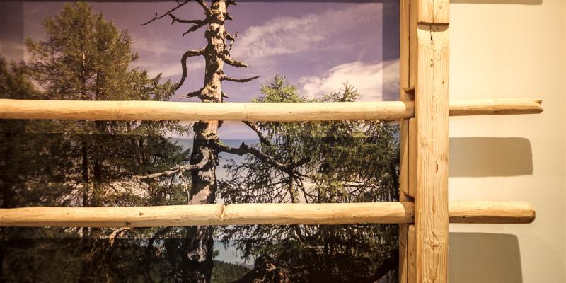 Der Kirchheimerhof Der Kirchheimerhof